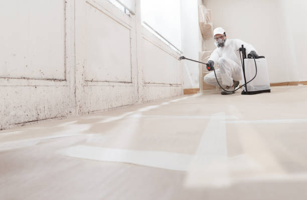 24/7 Emergency Mold Removal experts in Jamestown, NY
